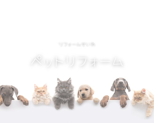 ペットと一緒に快適に暮らせるお家リフォーム