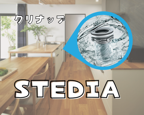 NEWステディア✨