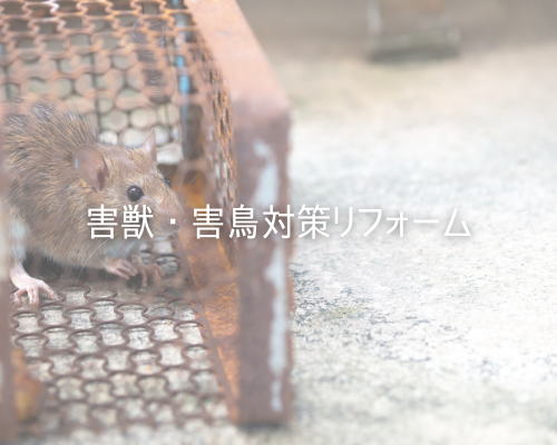害獣・害鳥対策リフォーム