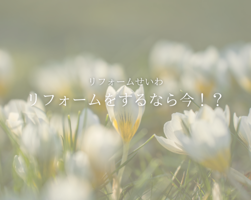 春が来る前にリフォームを検討🌸