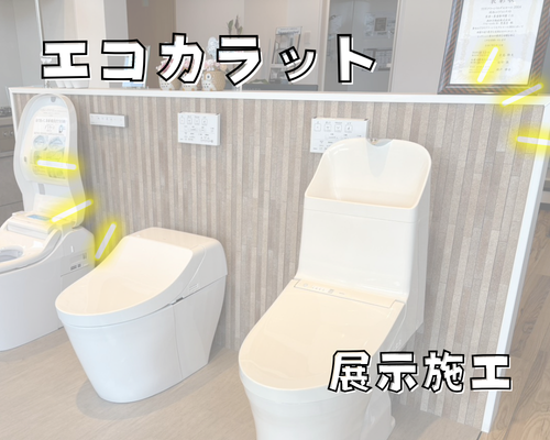 トイレに続き、エコカラット展示も登場！✨