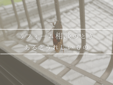 🪟 網戸の貼替え時期