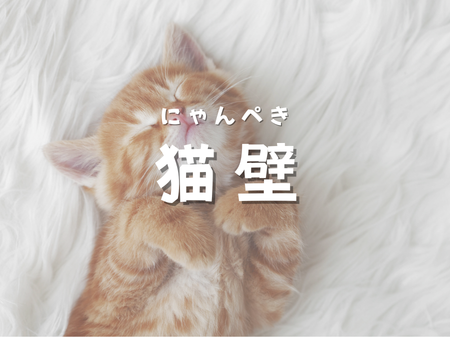 😺愛猫も大喜び！リクシルの『猫壁』で叶える快適キャットライフ