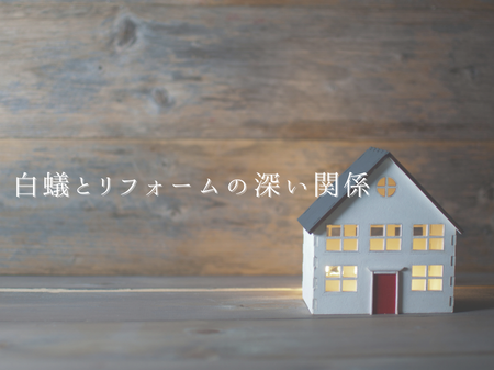 🐜見えないところで家をむしばむ… 白蟻とリフォームの深い関係
