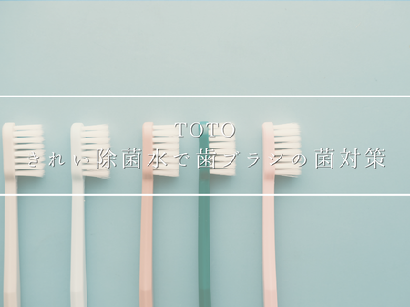 【TOTO】きれい除菌水で歯ブラシの菌対策に🪥