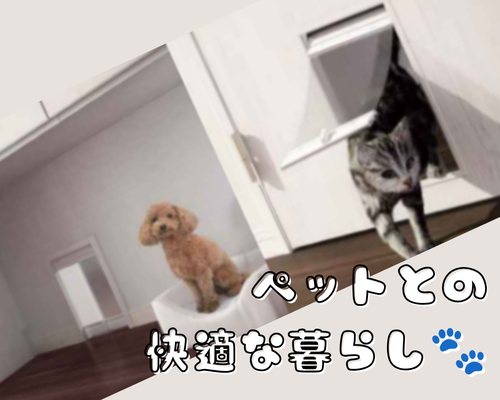 家の中で叶える、ペットとの快適な暮らし🐾