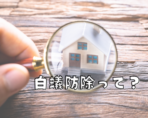 白蟻防除ってなに？🐜